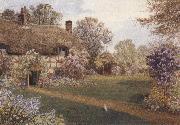 James matthews Ellens Green,near Cranleigh,Surrey (mk37) oil painting artist